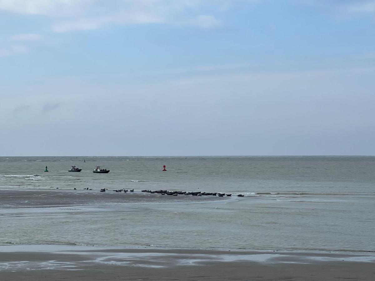 Plage A 50M Appartement Reves Bleus Villa Les Bains De Mers Zewnętrze zdjęcie