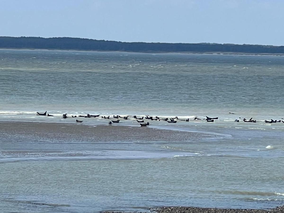 Plage A 50M Appartement Reves Bleus Villa Les Bains De Mers Zewnętrze zdjęcie